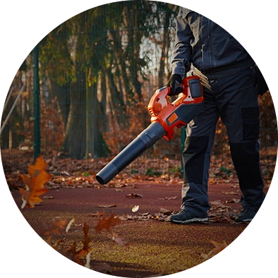 Remove brush and debris
